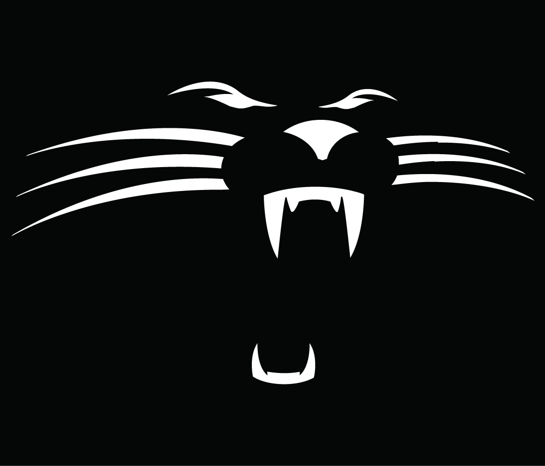 Carolina Panthers 1995-2011 Alternate Logo fabric transfer